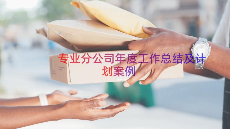 专业分公司年度工作总结及计划（案例15篇）