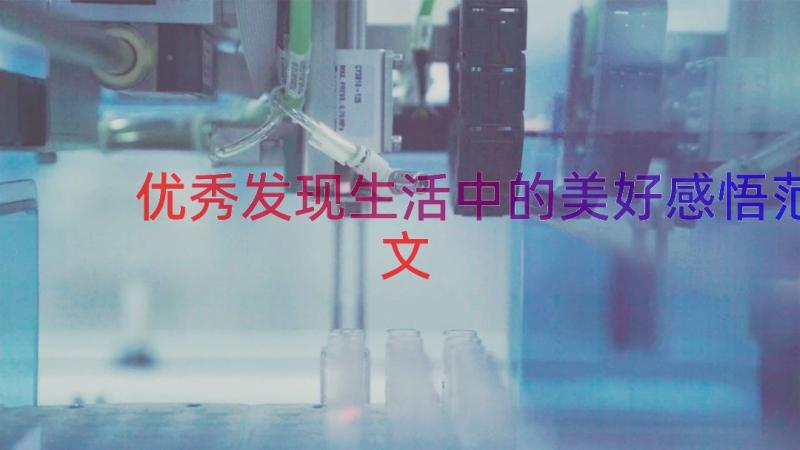 优秀发现生活中的美好感悟范文（19篇）