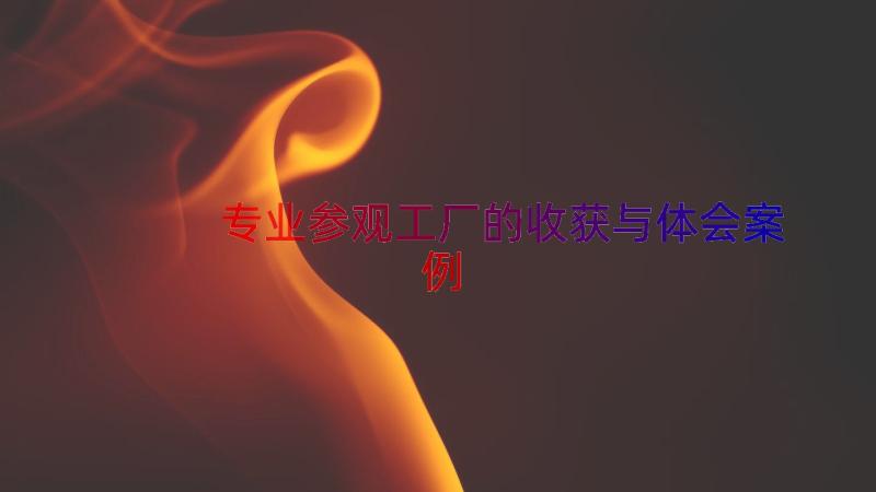 专业参观工厂的收获与体会（案例13篇）