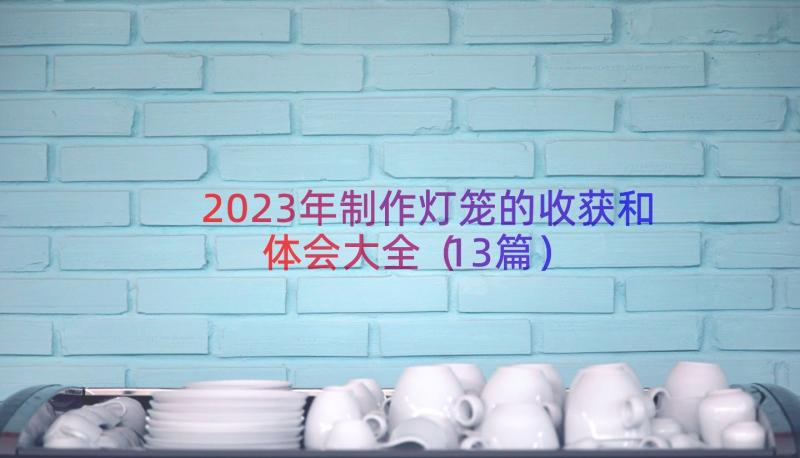 2023年制作灯笼的收获和体会大全（13篇）