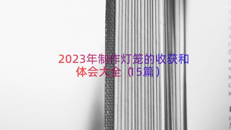 2023年制作灯笼的收获和体会大全