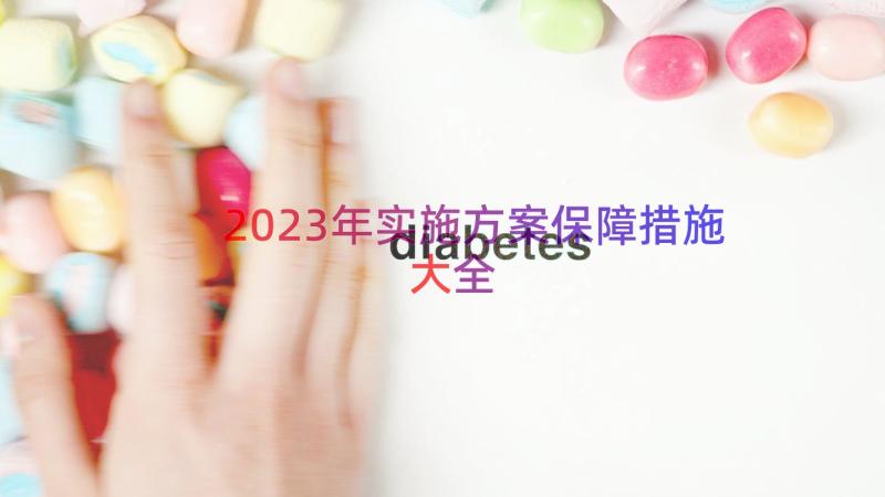 2023年实施方案保障措施大全（17篇）