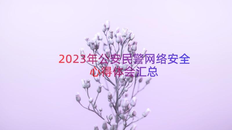 2023年公安民警网络安全心得体会（汇总18篇）