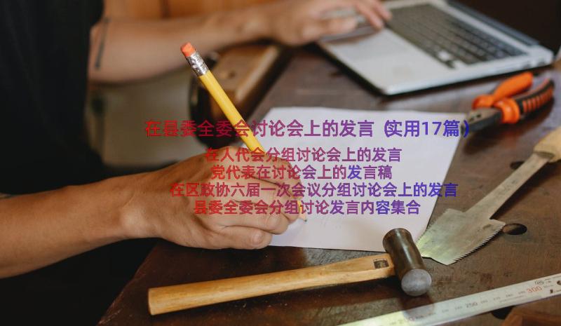 在县委全委会讨论会上的发言（实用17篇）