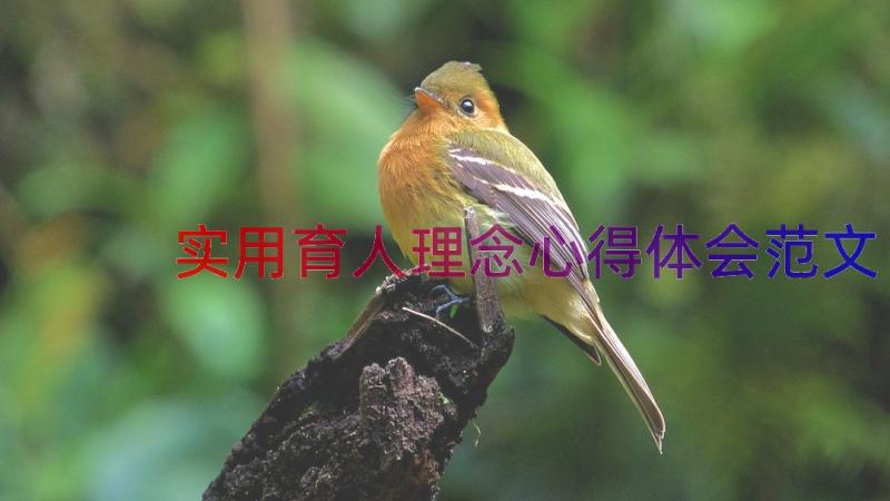 实用育人理念心得体会范文（18篇）