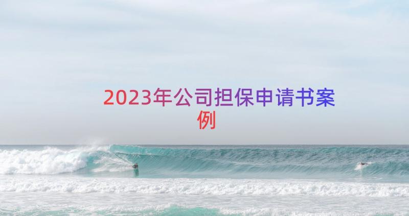 2023年公司担保申请书（案例13篇）