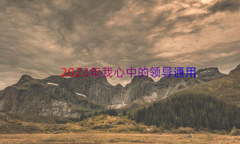 2023年我心中的领导（通用18篇）