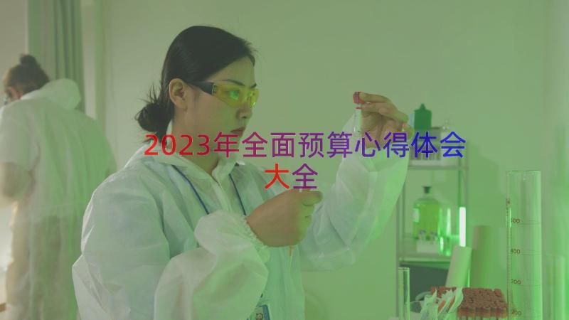 2023年全面预算心得体会大全（18篇）