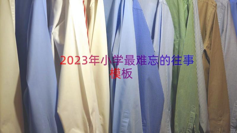 2023年小学最难忘的往事（模板13篇）