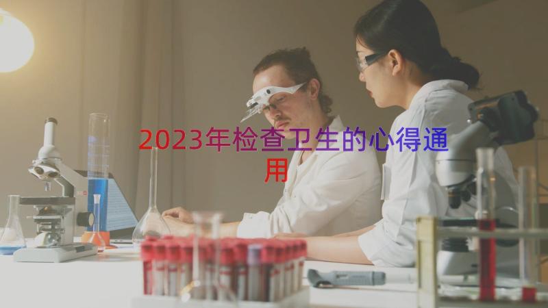 2023年检查卫生的心得（通用16篇）