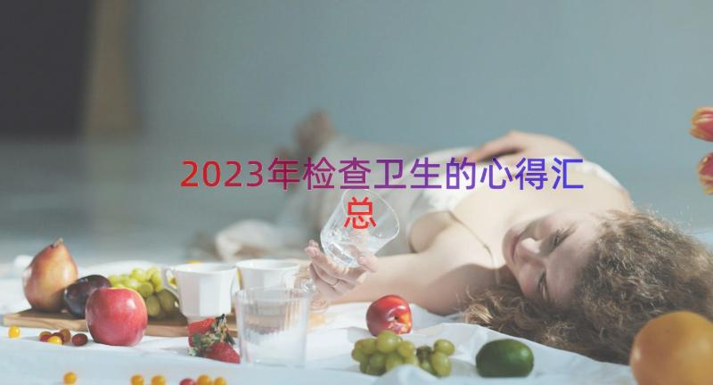 2023年检查卫生的心得（汇总16篇）