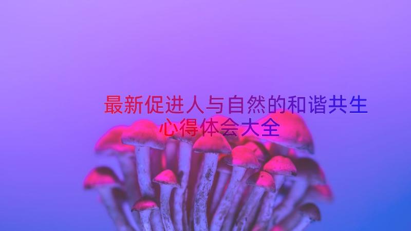 最新促进人与自然的和谐共生心得体会大全（13篇）