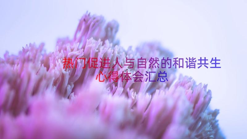 热门促进人与自然的和谐共生心得体会（汇总12篇）