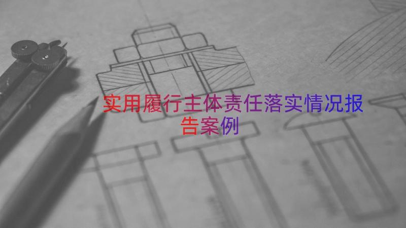 实用履行主体责任落实情况报告（案例16篇）