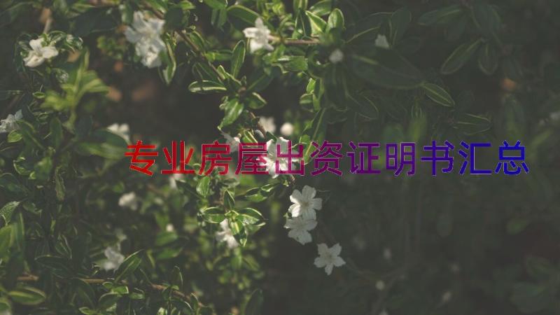 专业房屋出资证明书（汇总17篇）