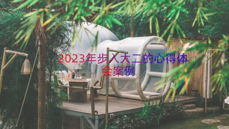 2023年步入大二的心得体会（案例17篇）