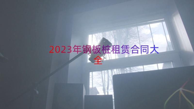 2023年钢板桩租赁合同大全（15篇）