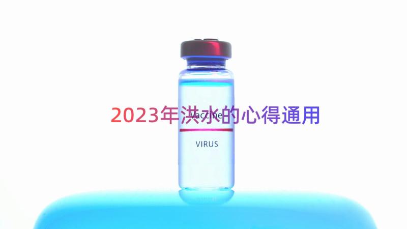 2023年洪水的心得（通用17篇）