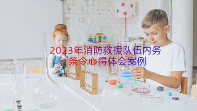 2023年消防救援队伍内务条令心得体会（案例15篇）