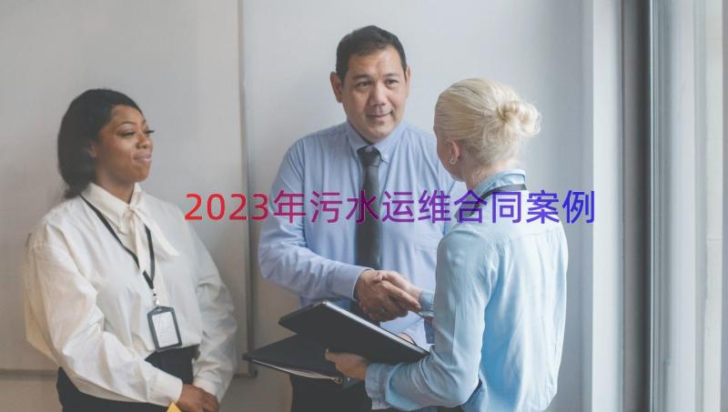 2023年污水运维合同（案例13篇）