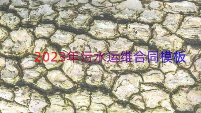 2023年污水运维合同（模板15篇）