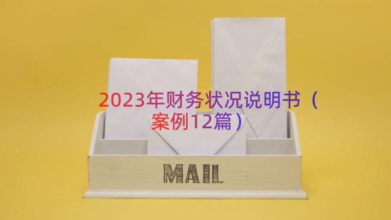 2023年财务状况说明书案例