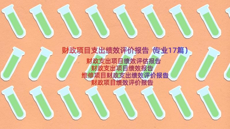 财政项目支出绩效评价报告（专业17篇）