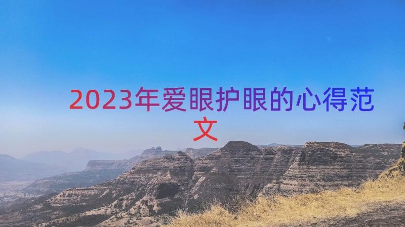 2023年爱眼护眼的心得范文（13篇）