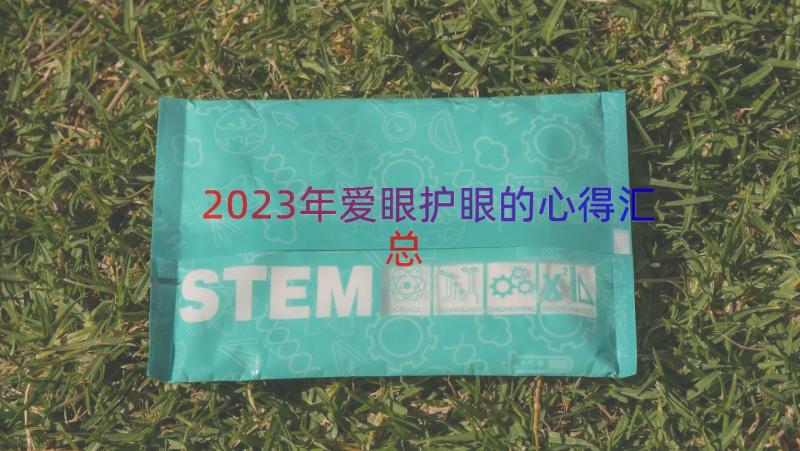 2023年爱眼护眼的心得（汇总12篇）