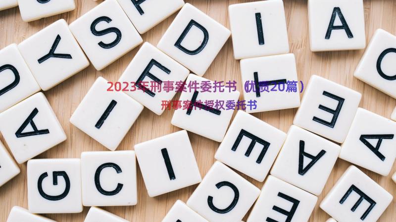 2023年刑事案件委托书（优质20篇）