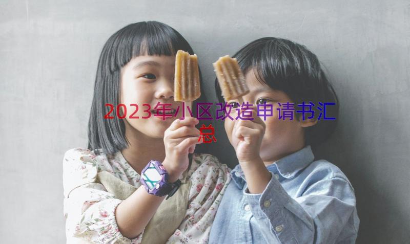 2023年小区改造申请书（汇总12篇）