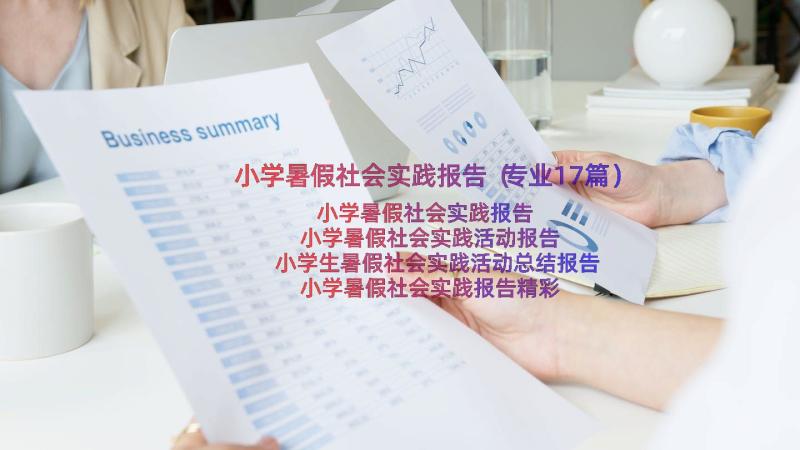 小学暑假社会实践报告（专业17篇）