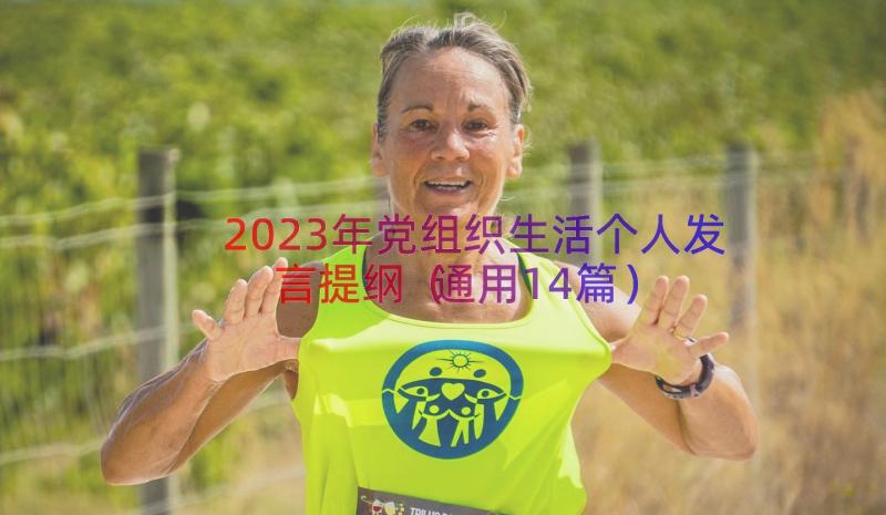 2023年党组织生活个人发言提纲（通用14篇）