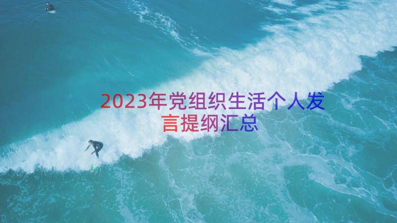 2023年党组织生活个人发言提纲（汇总18篇）