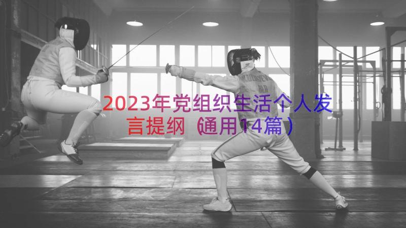 2023年党组织生活个人发言提纲（通用14篇）