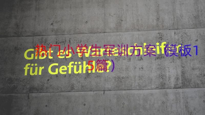 热门小学生军训方案模板