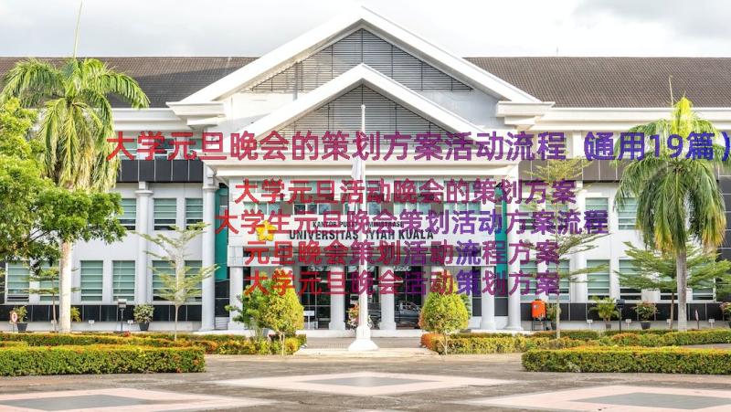 大学元旦晚会的策划方案活动流程（通用19篇）