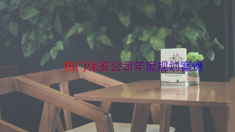 热门保安公司年度规划（案例17篇）