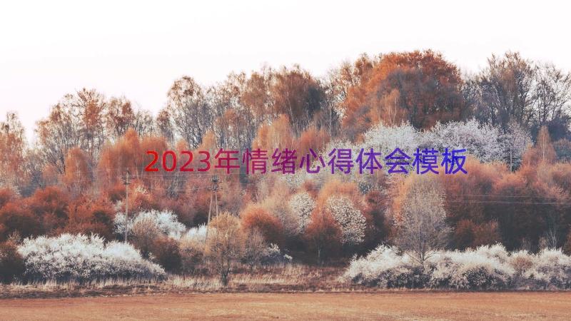 2023年情绪心得体会（模板13篇）