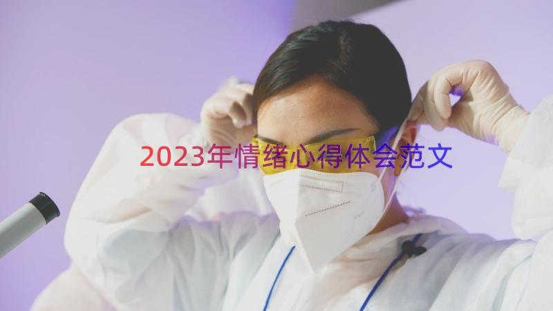 2023年情绪心得体会范文（12篇）