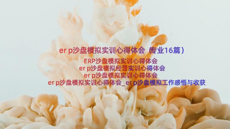 erp沙盘模拟实训心得体会（专业16篇）