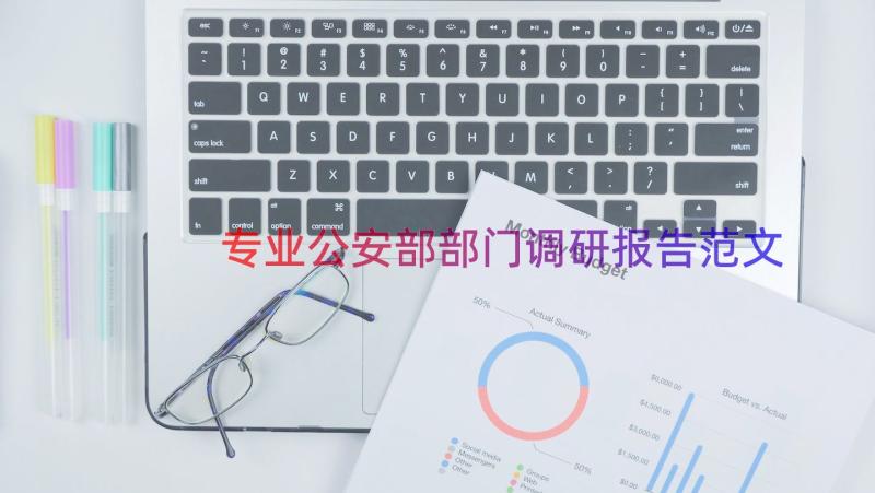 专业公安部部门调研报告范文（14篇）