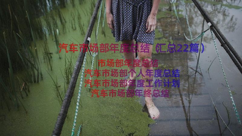 汽车市场部年度总结（汇总22篇）