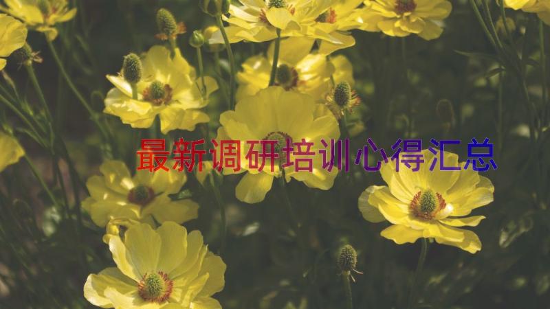 最新调研培训心得（汇总13篇）