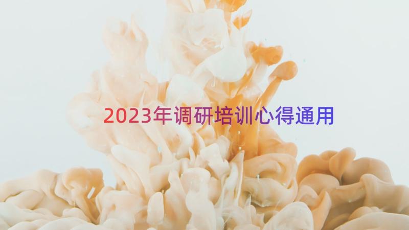 2023年调研培训心得（通用15篇）