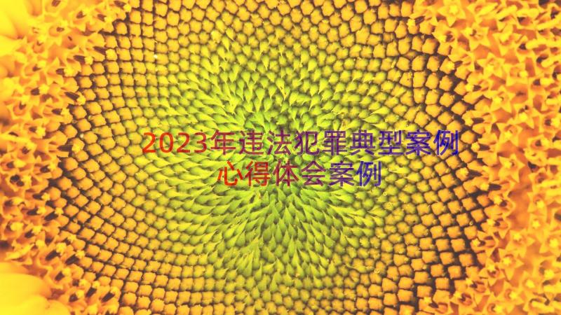 2023年违法犯罪典型案例心得体会（案例19篇）