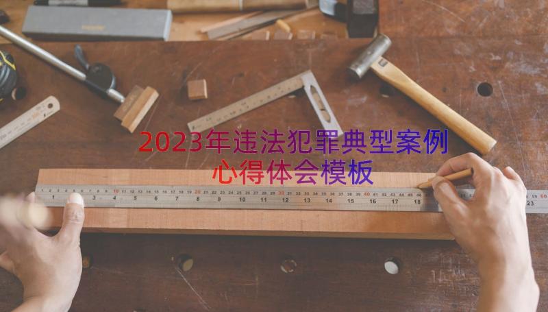 2023年违法犯罪典型案例心得体会（模板17篇）