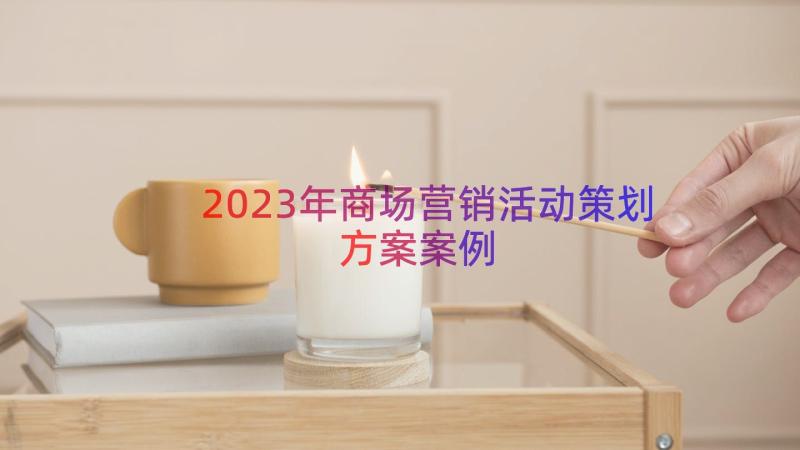 2023年商场营销活动策划方案（案例16篇）