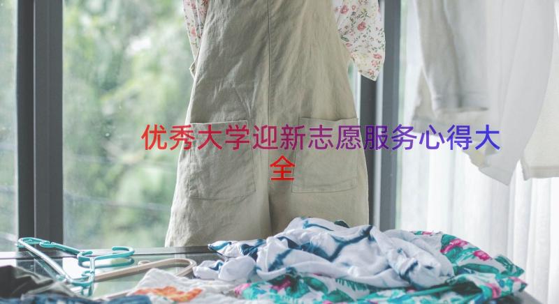 优秀大学迎新志愿服务心得大全（18篇）