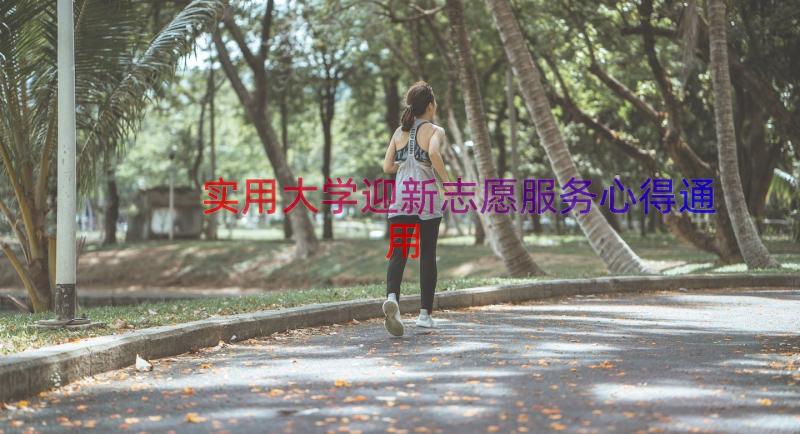 实用大学迎新志愿服务心得（通用13篇）